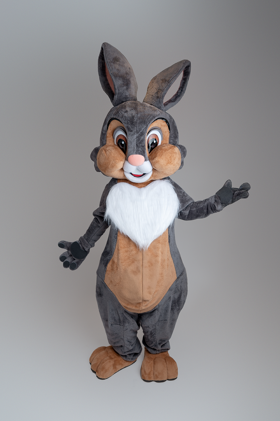 Location Mascotte Panpan, le Lapin
