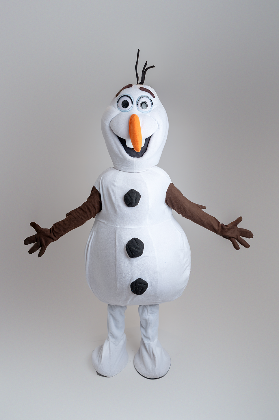 Location Mascotte Olaf, Reine des Neige