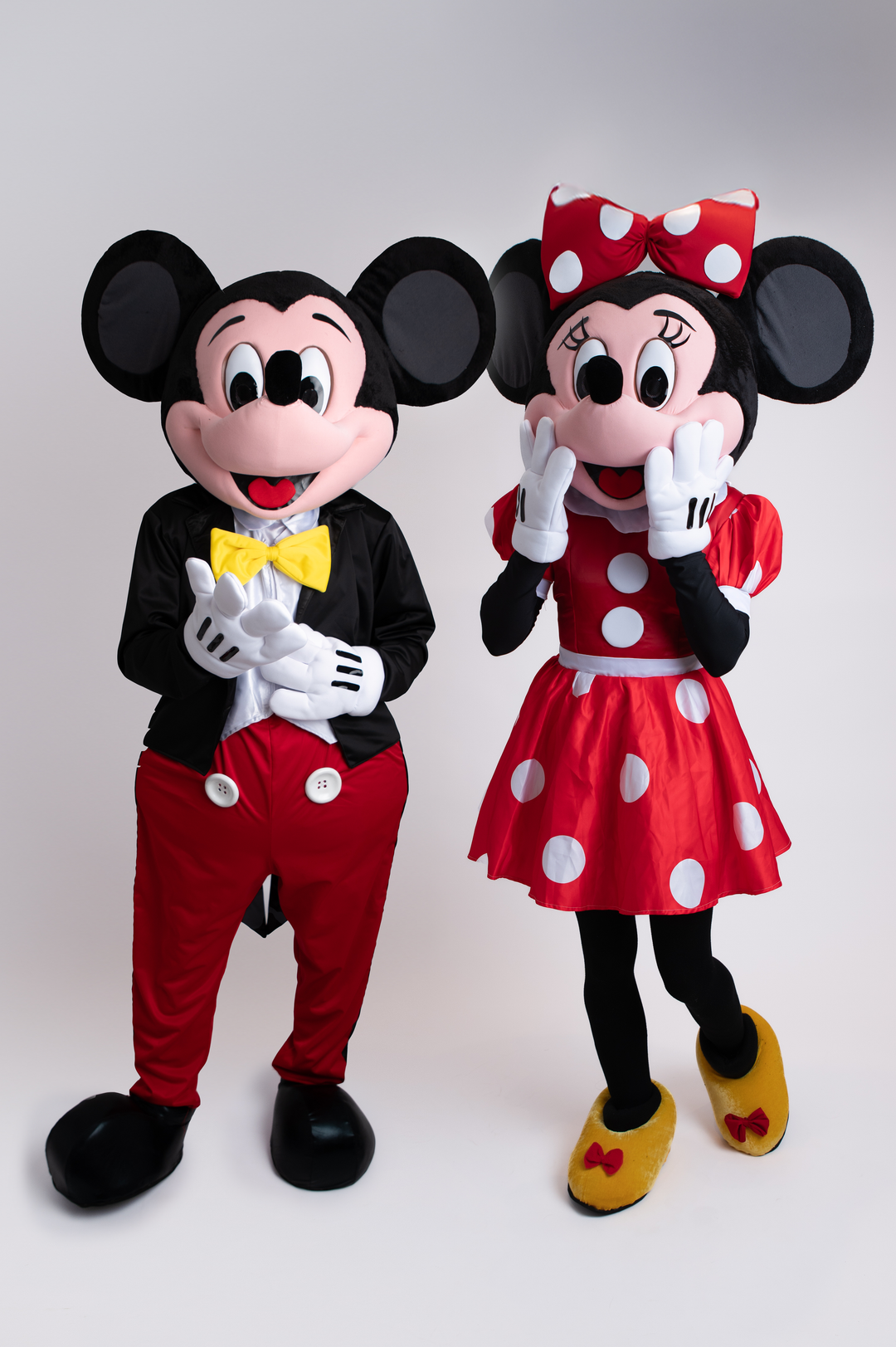 Location Mascotte Duo Mickey et Minnie