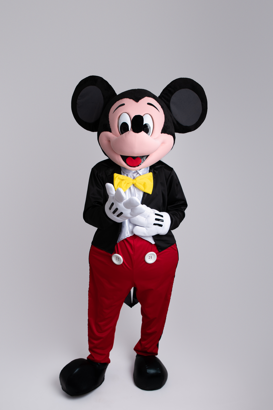 Location Mascotte Mickey