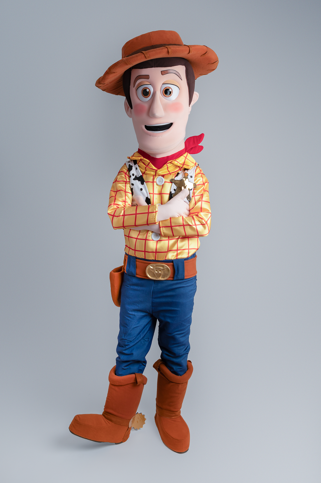 Location Mascotte Woody Toy Story